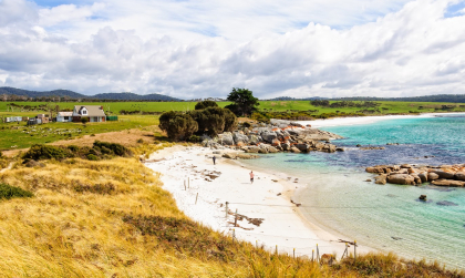 Sự kiện môi trường biển nổi bật tại Tasmania năm 2025